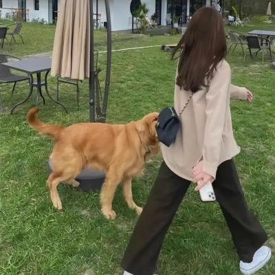 弗莉卡 首屏推荐